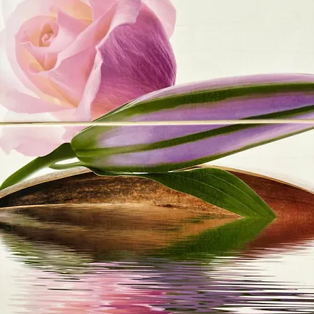 Cozy Corner 아파트 류블랴나