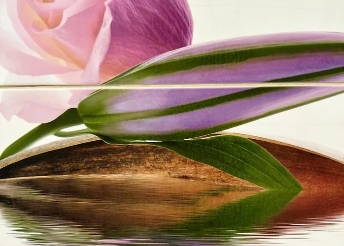 Cozy Corner Apartment Laibach